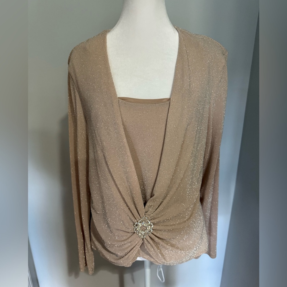 NWOT Special Occasion Pale Link Marina XL Blouse